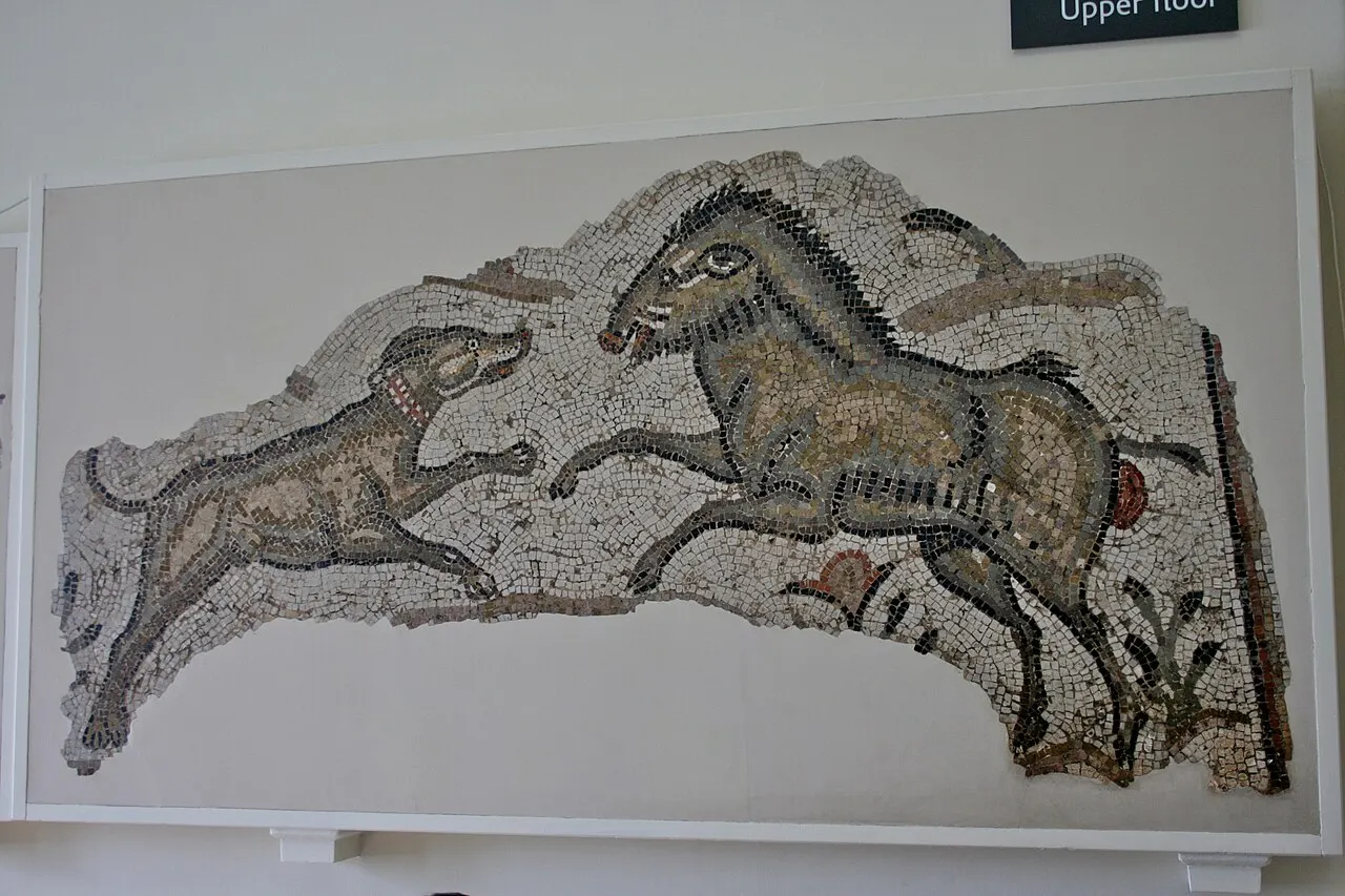Illustratieve foto bij het feit Romeinen gaven hun huisdieren al poëtische namen
