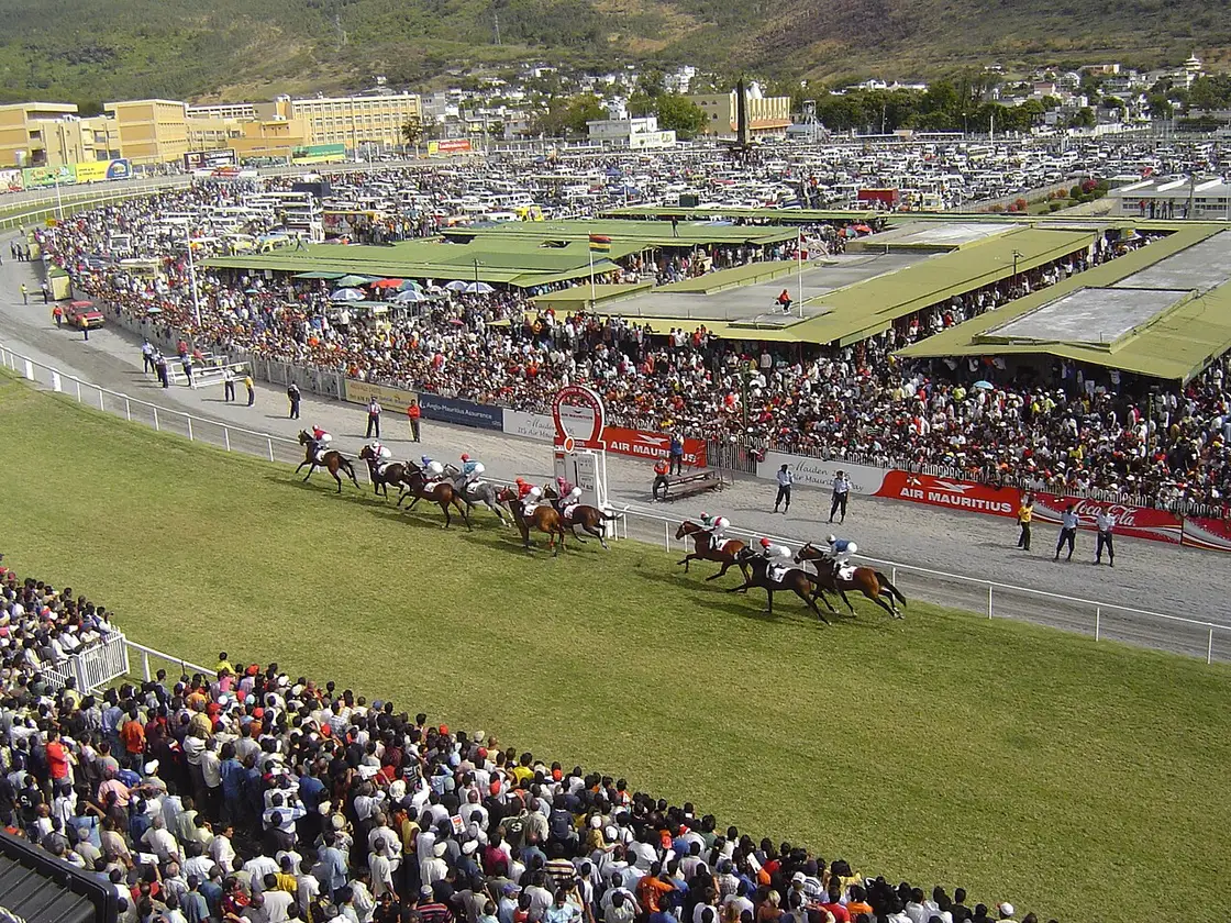 Illustratieve foto bij het feit Een racepaard moet verplicht van naam veranderen